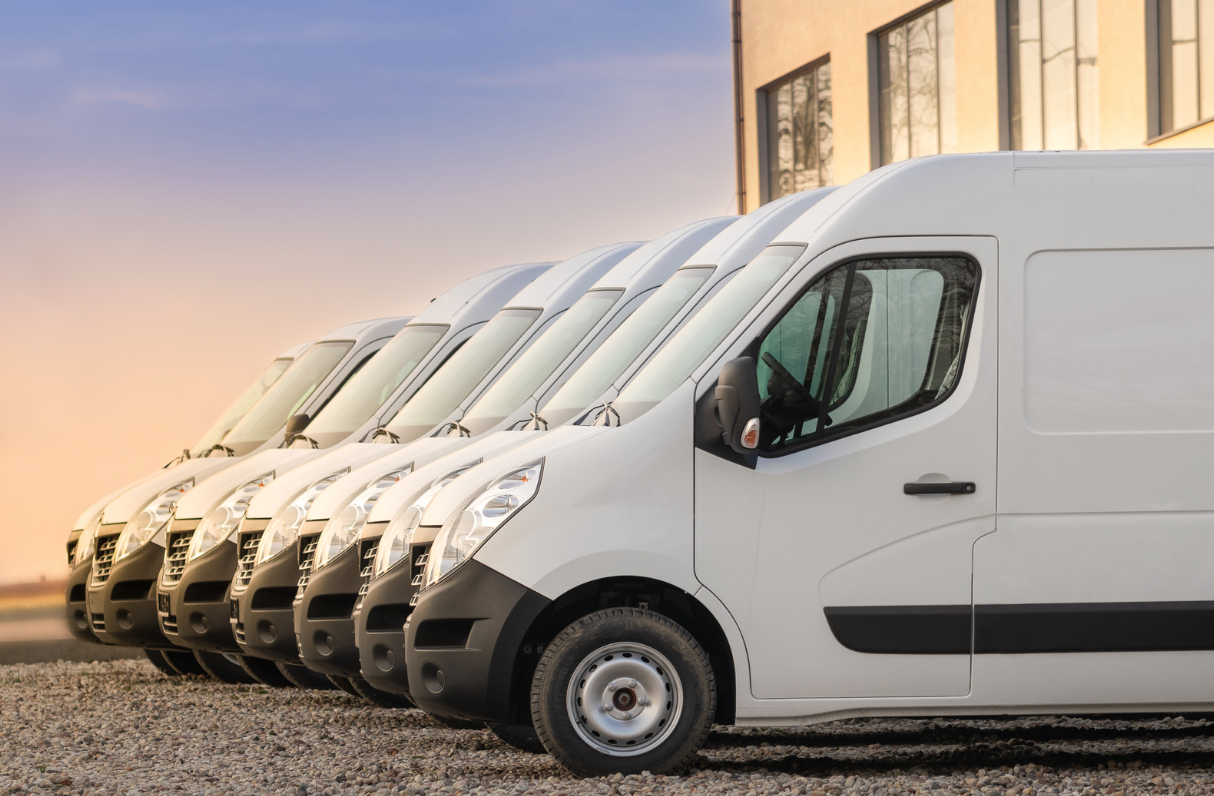 Lineup of white vans